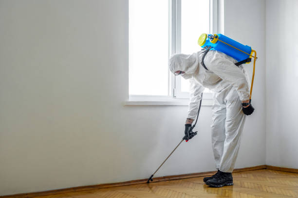 Pest Control Cost in Colville, WA